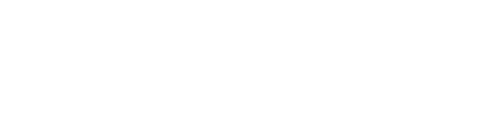 Trainsit intermodal rail freight platform logo